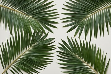 Textured Palm Leaf Compositions for Nature Spots in Eye-Catching Layouts