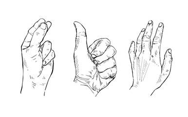 Illustration Hand drawn Set Human hand Action Sketch ink style on white background.