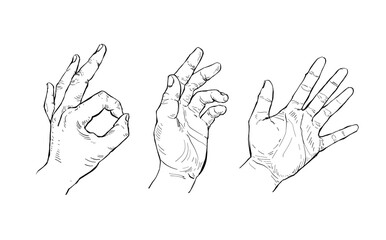 Illustration Hand drawn Set Human hand Action Sketch ink style on white background.
