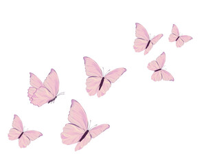 Camomile icon set. White daisy chamomile. Growing concept. Love card symbol. Flat design. Green background. Isolated. seamless repeating