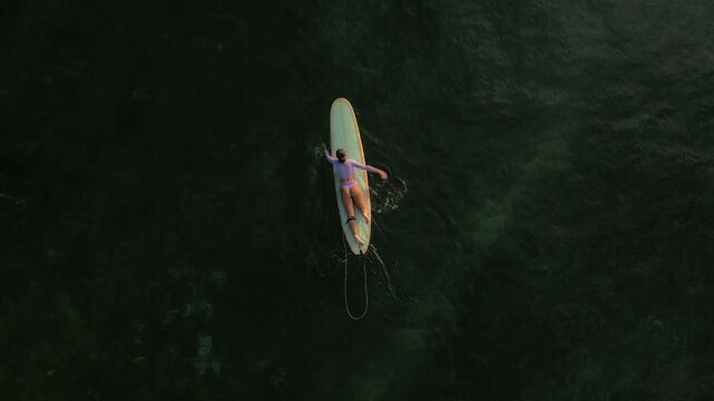Surfing girl people swiming ocean 