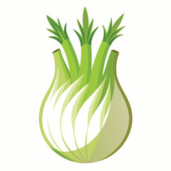 Fennel vector illustration isolated in white background