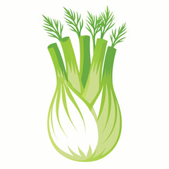 Fennel vector illustration isolated in white background