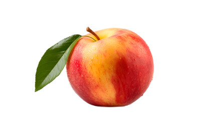 a red and yellow apple with green leaves

