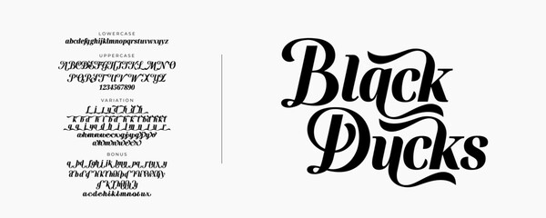Elegant Bold Font Uppercase Lowercase And Number. Classic Lettering Minimal Fashion Designs. Typography modern serif fonts regular decorative vintage concept. vector illustration