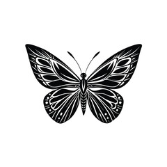 Butterfly Vector Design Logo Silhouette Modern Symbol