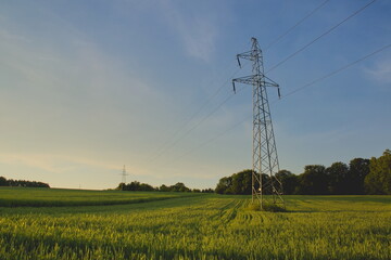 Letni widok na niebo z słupami elektrycznymi wśród zbóż  © Hubert