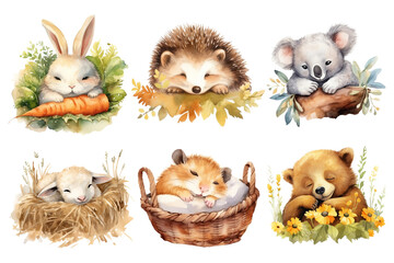 Fototapeta premium PNG Watercolor sleeping animal illustration element set, transparent background