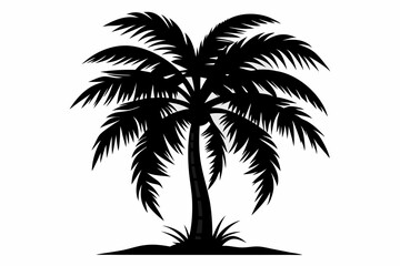 palm tree silhouette,palm tree white background palam tree icon