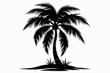 palm tree silhouette,palm tree white background palam tree icon