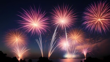 fireworks over the bright city
