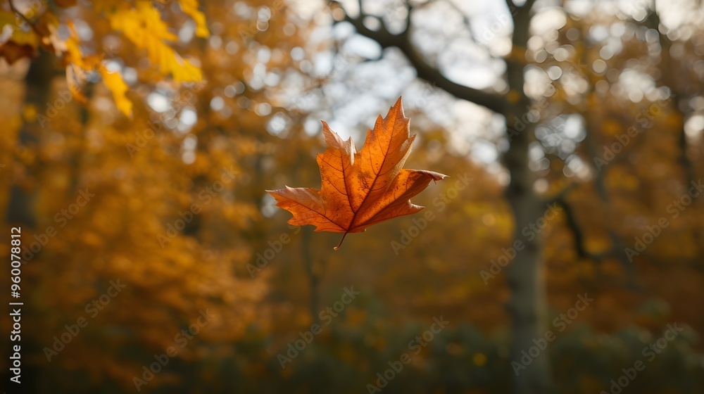 Poster a leaf swaying gently before falling from a tree in autumn ai generated