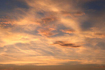 黄金色の夕焼け
