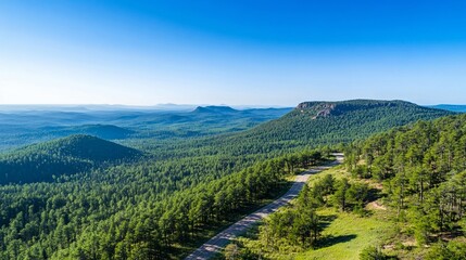 Fototapeta premium Scenic overlook with a road winding through pine forest below