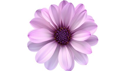 A time-lapsed version of a blooming flower in white background   AI generated illustration
