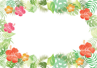 ハイビスカスのフレーム