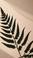 Naklejka premium Fern leaf shadow overlay on a soft beige background