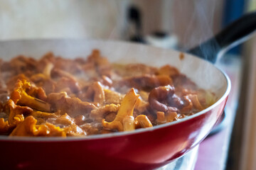 Cantharellus fried, small culinary delight, eat what nature gives us