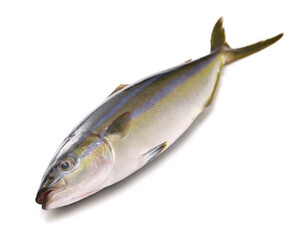 Rainbow runner, this fish is called Tsumuburi in Japan.