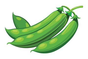 Green Beans vector illustration isolated in white background