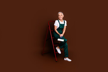 Photo of charming lovely senior woman wear green uniform sit ladder isolated on brown color background