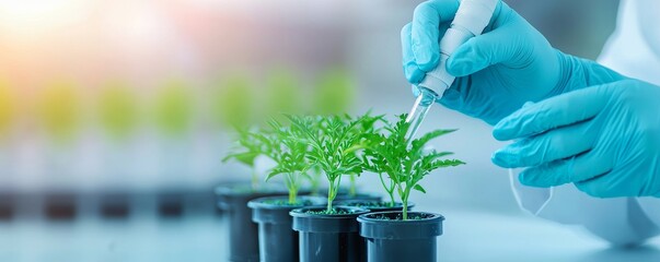 A scientist conducts research on plant growth using a pipette in a laboratory environment focused on botany and agriculture.
