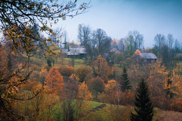 Fototapeta premium a beautiful landscape