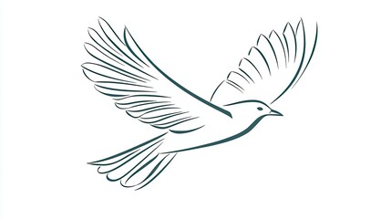 Fototapeta premium Outline of a bird in flight, symbolizing freedom and grace in a clean, modern design.