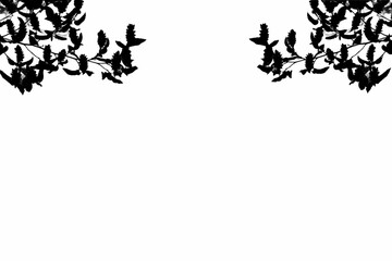 graphic, ornament, pattern, leaves, branch, tree, nature, backgr