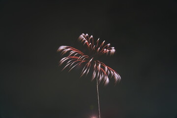 江戸川花火大会　Fireworks