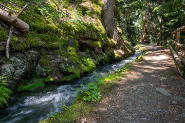 Waalweg in Südtirol