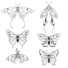 Boho vintage vector art design with bohemian butterfly. Isolated insect icon set in simple style, hand drawn illustration ornate collection, celestial insects, moth minimalist tattoo art set