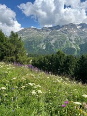Schweizer Berge