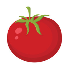 Tomato flat vector design isolated on white background.	