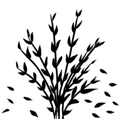 simple bush with black leaves