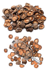 Dry Shiitake Mushroom on white background