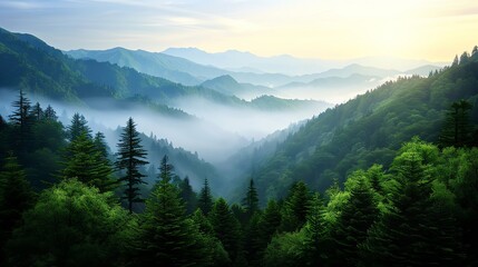 A serene mountain landscape enveloped in mist, showcasing lush greenery and majestic peaks under a soft, glowing sky.