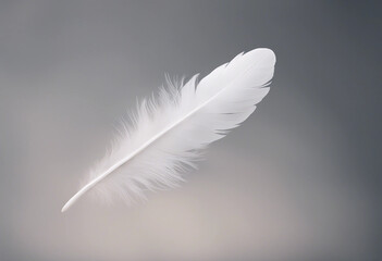 Obraz premium White feather flying in the air isolated