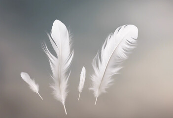 White feathers various sizes flying in the air isolated
