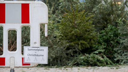 Sammelstelle für alte gebrauchte Christbäume nach Weihnachten