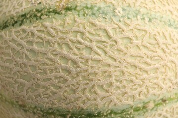 One ripe Cantaloupe melon as background, closeup