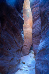Explore the vibrant colors and unique illuminated rock formations of Wire Pass Slot Canyon in Utah. This natural wonder showcases striking hues and intricate patterns carved by nature - USA