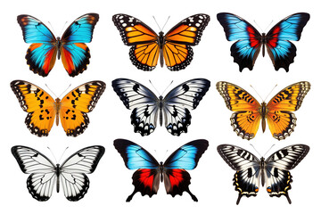Obraz premium Butterfly png element set, transparent background