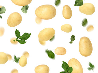 Fresh potatoes and green leaves in air on white background