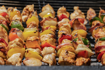 meat kebab with vegetables fried on an open fire close-up