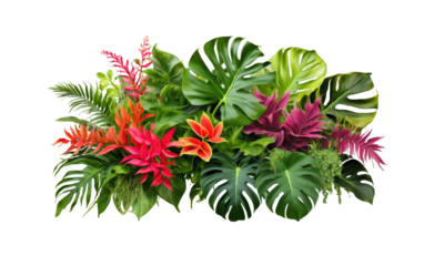 Vibrant tropical plants arranged artistically on a transparent background showcasing lush green foliage and colorful flowers