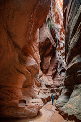 A male hiker explores the breathtaking Buckskin Gulch slot canyon on the Arizona, Utah border. The tall, narrow sandstone walls create a beautiful natural landscape, with vibrant red rock erosion.