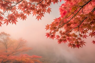 Red Leaves and Misty Trees