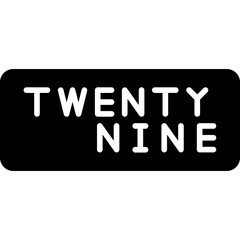 Twenty Nine Icon