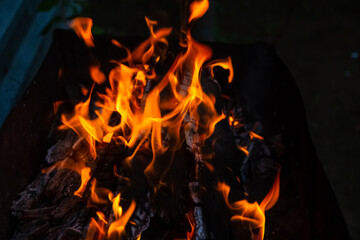 burning bonfire with a bright flame in the darkness of the night